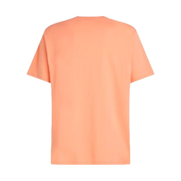 O'neill O'NEILL BEACH CHEST PRINT