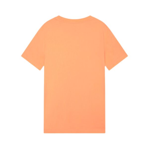 Duotone Tee SS Originals small Graphic