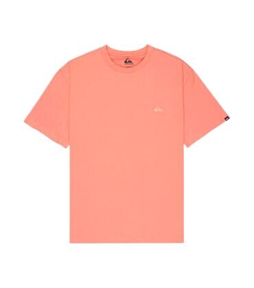 Quiksilver SALT WATER